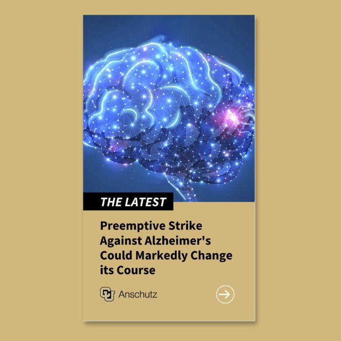 News Storytelling IG Stories